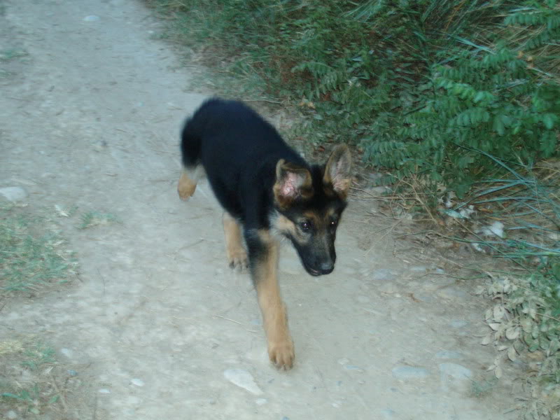 P1010142-2.jpg