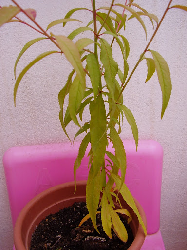 P1010148.JPG