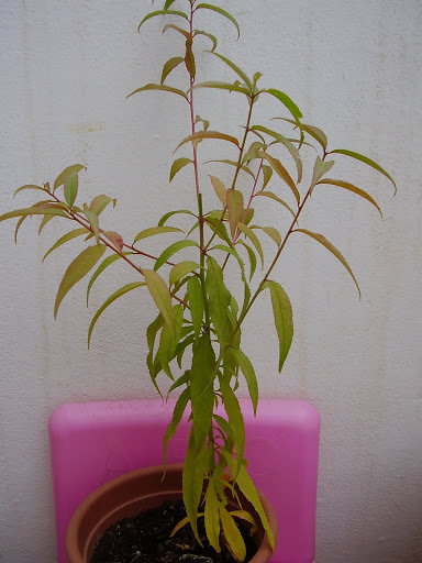 P1010149.JPG