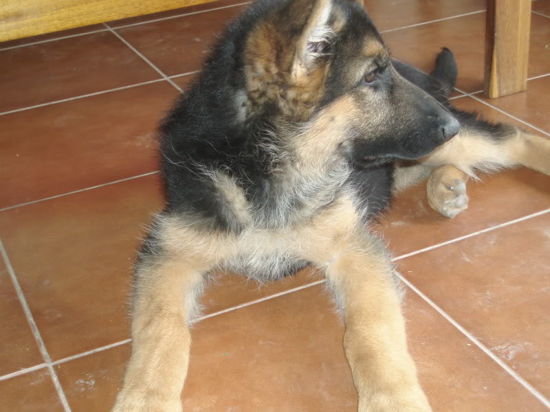 P1010158-2.jpg