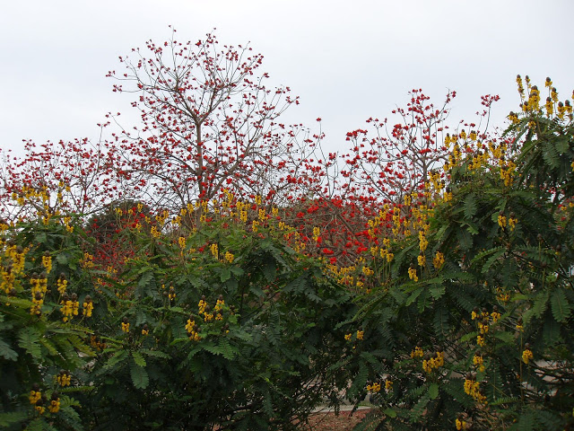P1010166.JPG