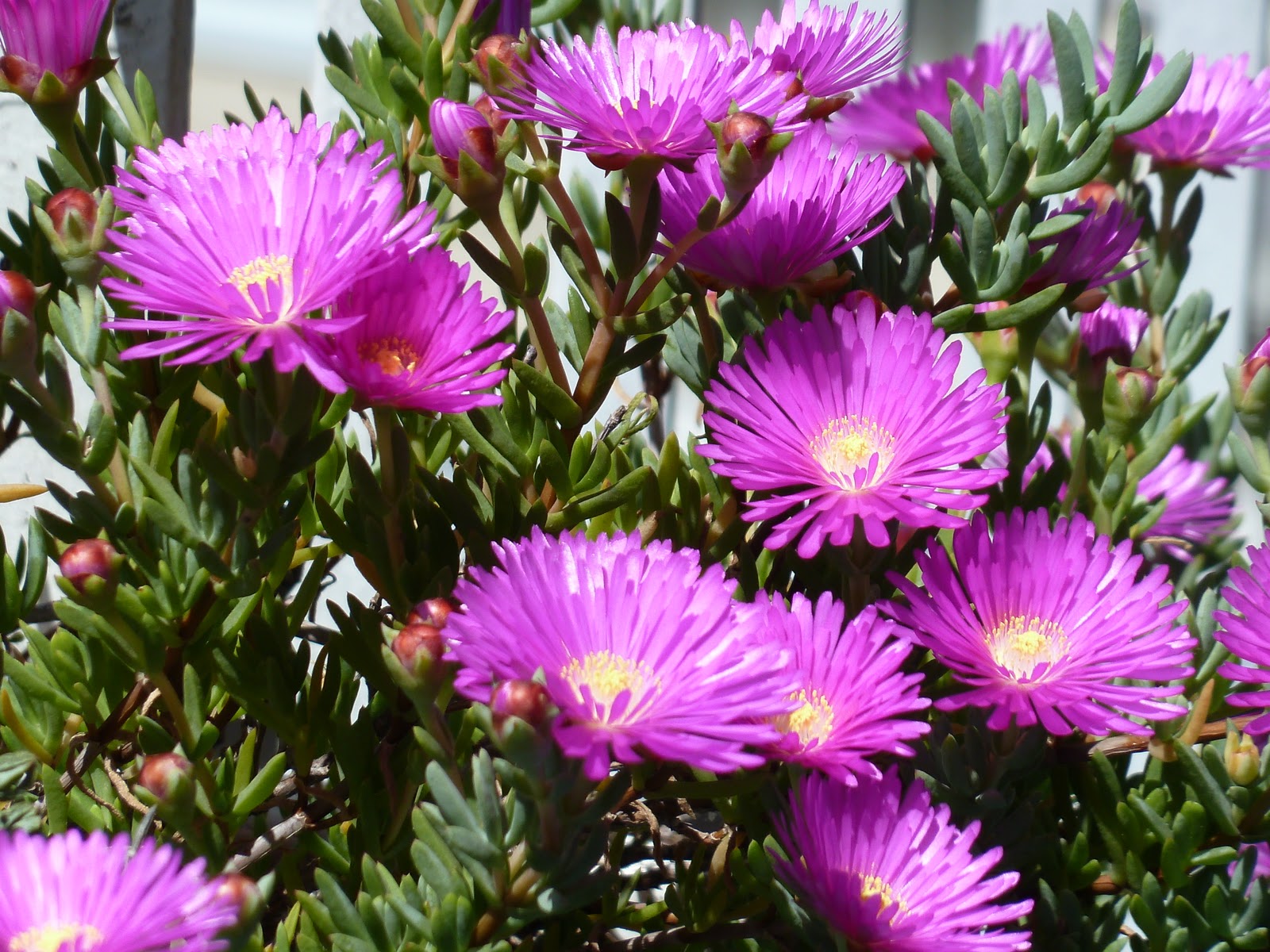 P1010175.JPG