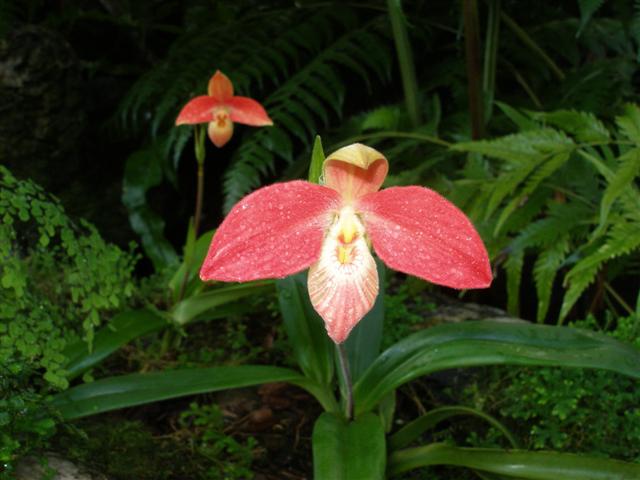 P1010205_Small_.JPG