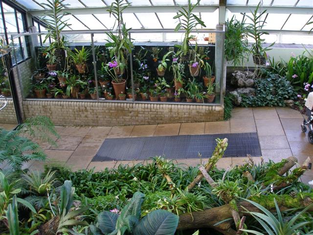 P1010207_Small_.JPG