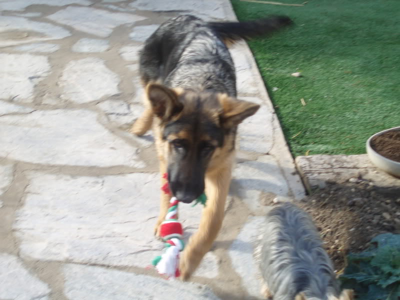P1010219-1.jpg