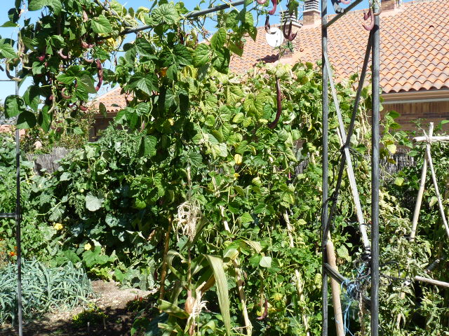 p1010278.jpg