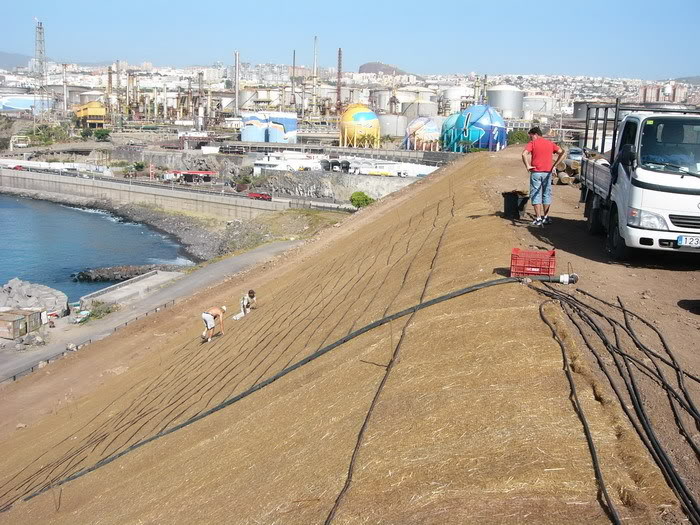 P1010326_redimensionar.jpg
