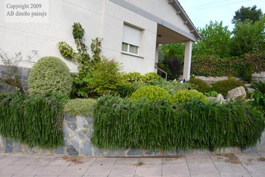 P1010433.jpg