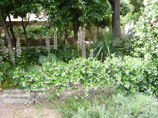 P10107201.jpg