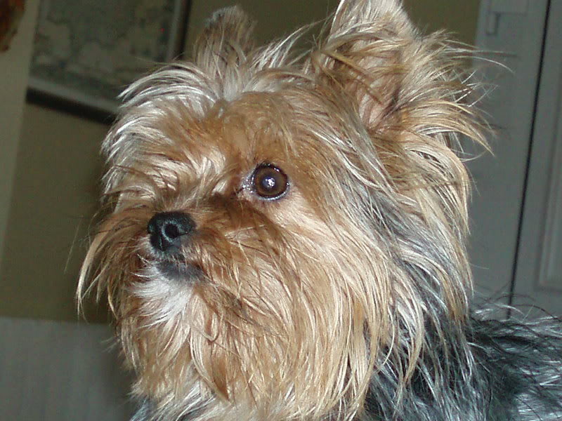 P1010841.jpg