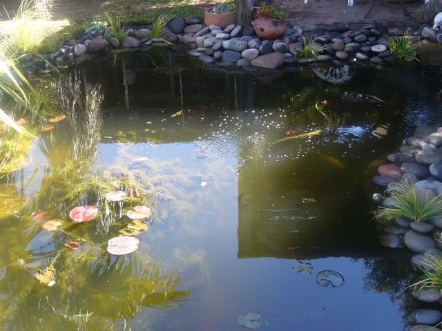 P1010889640x480.jpg