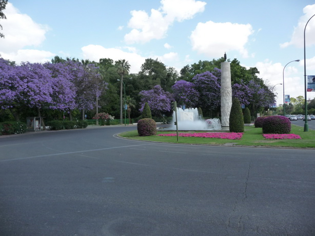 P1011083_M.JPG