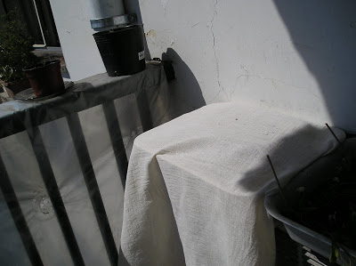 P1011396.JPG