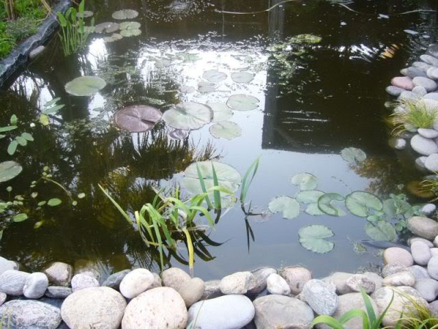 P1020094800x600.jpg