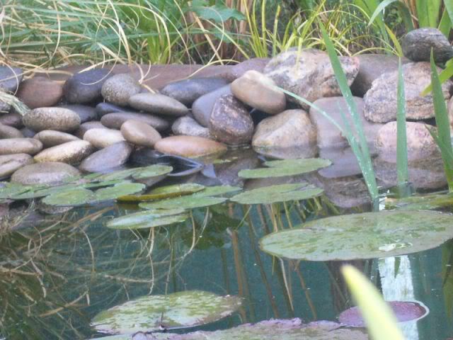 P1020111800x600.jpg