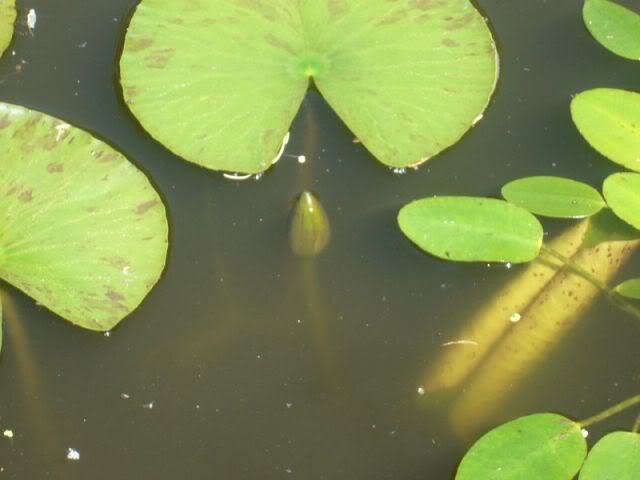 P1020121800x600.jpg