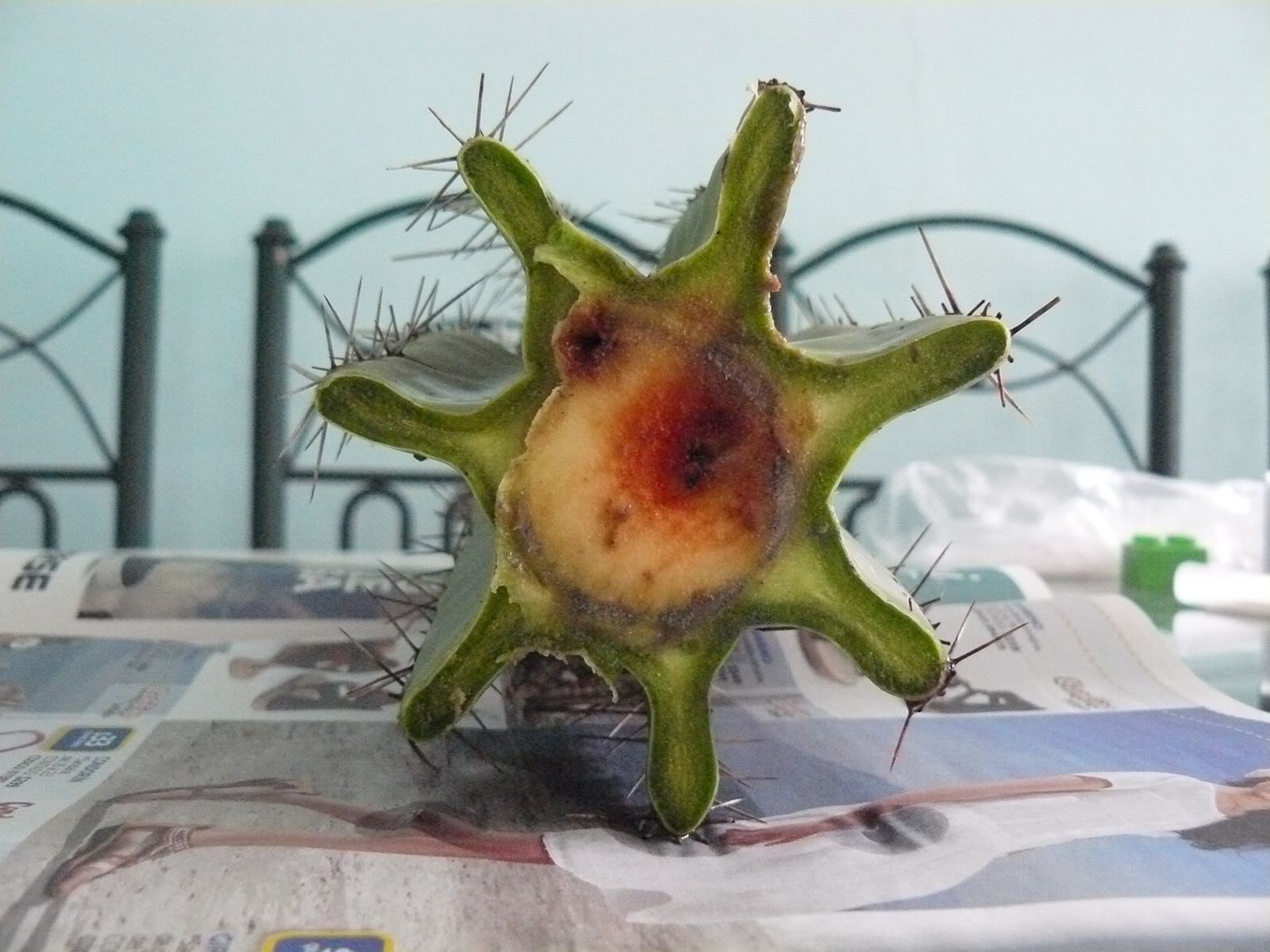 P1020193.jpg