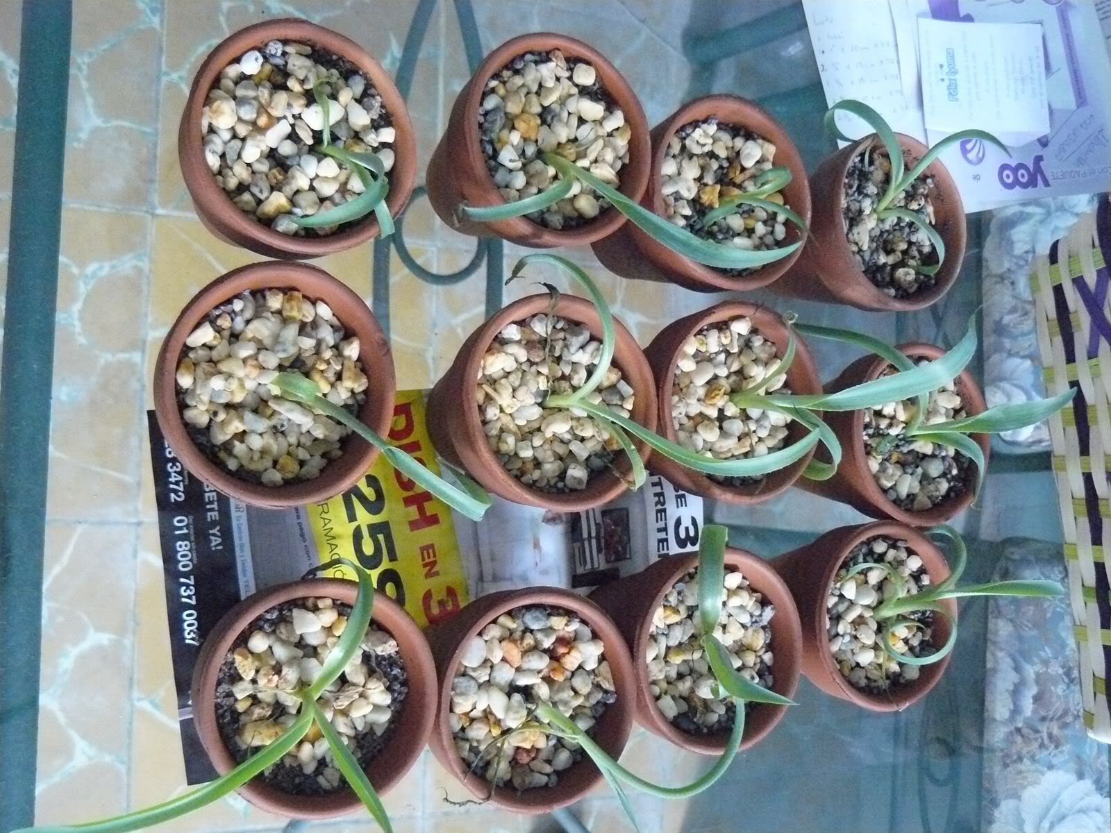 P1020197.jpg