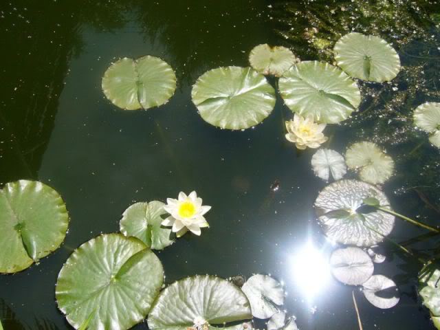 P1020203800x600.jpg