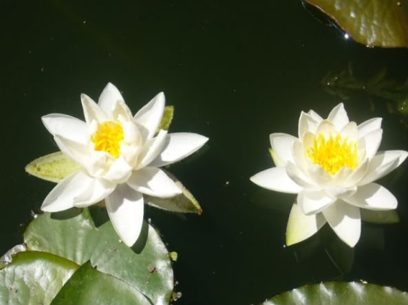 P1020229800x600.jpg