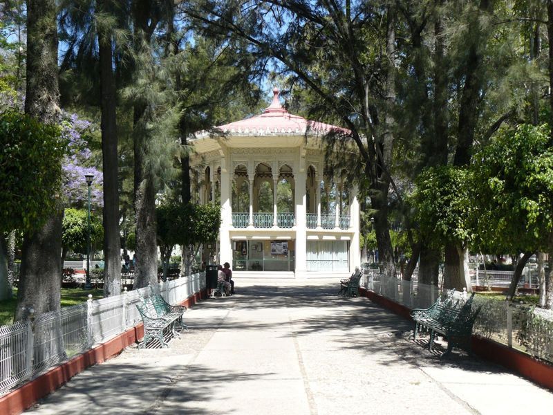 P1020273.jpg