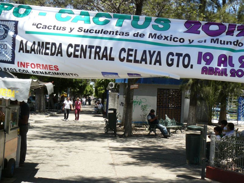 P1020313.jpg