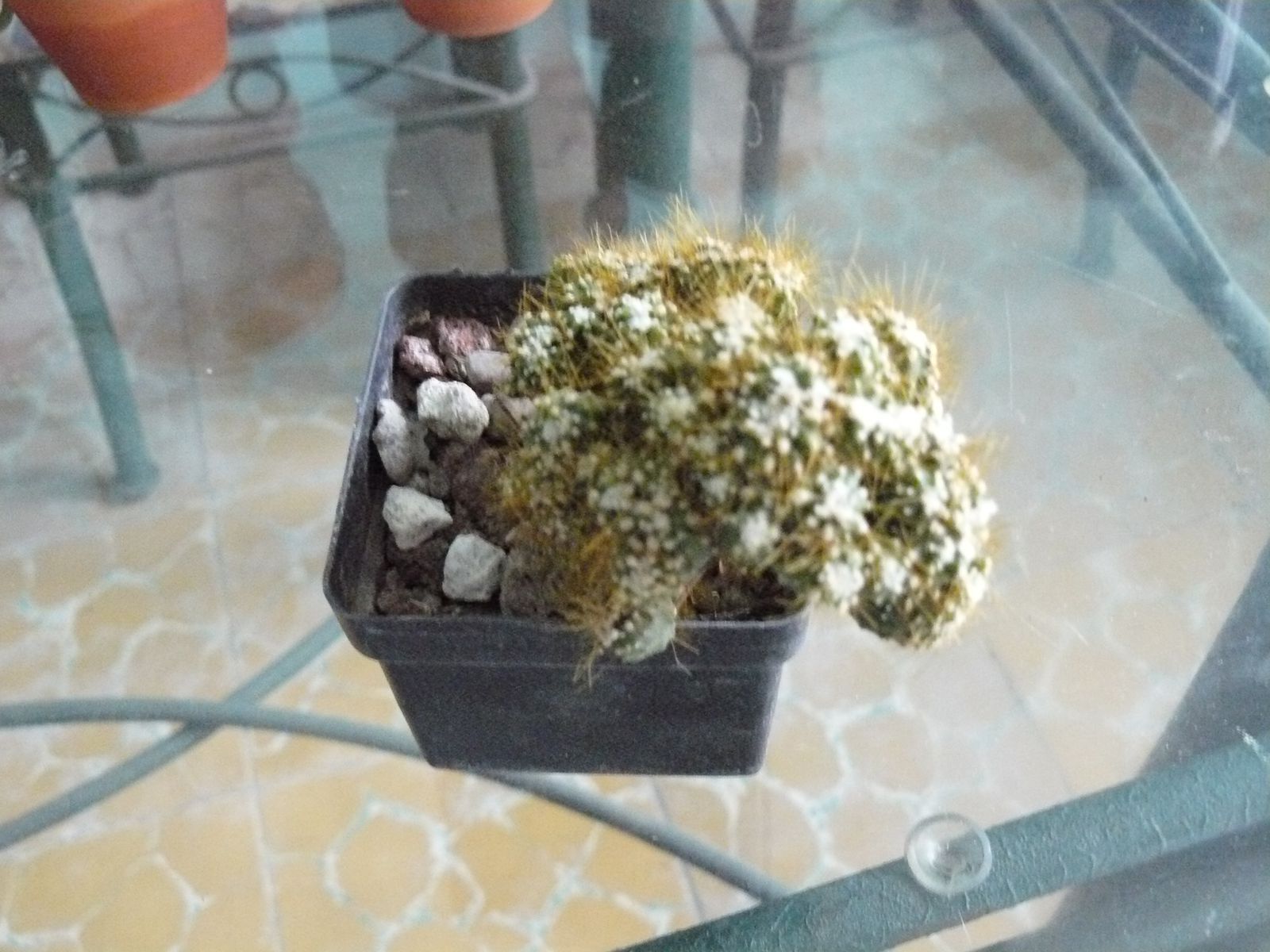 P1020330.jpg