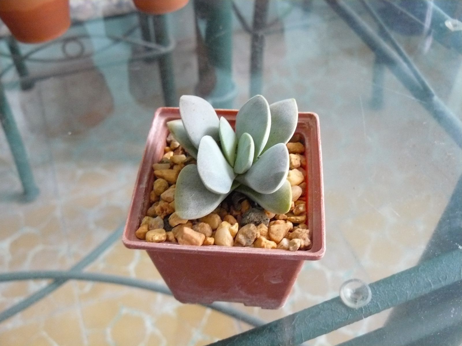 P1020332.jpg