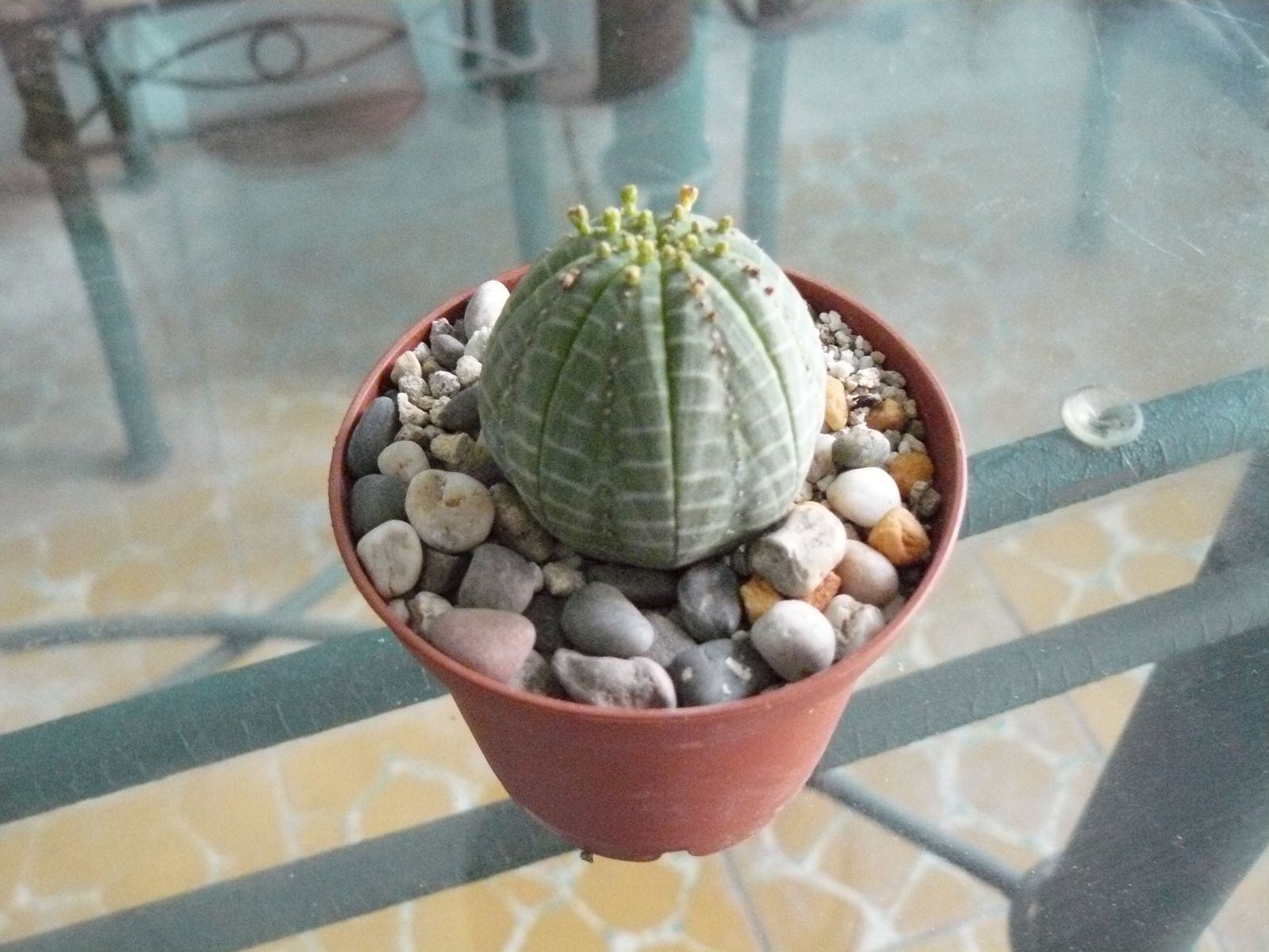 P1020337.jpg