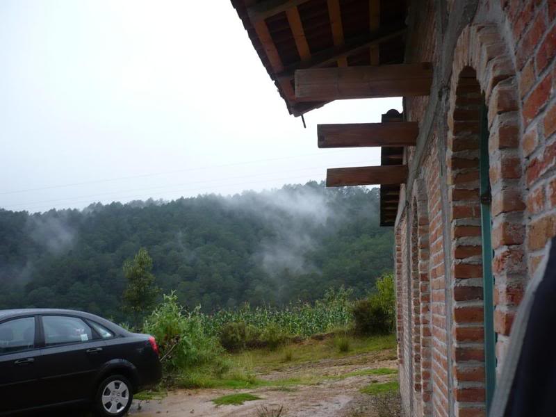 P1020545.jpg