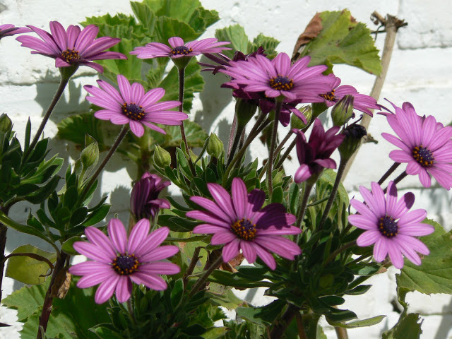 P1020594.JPG