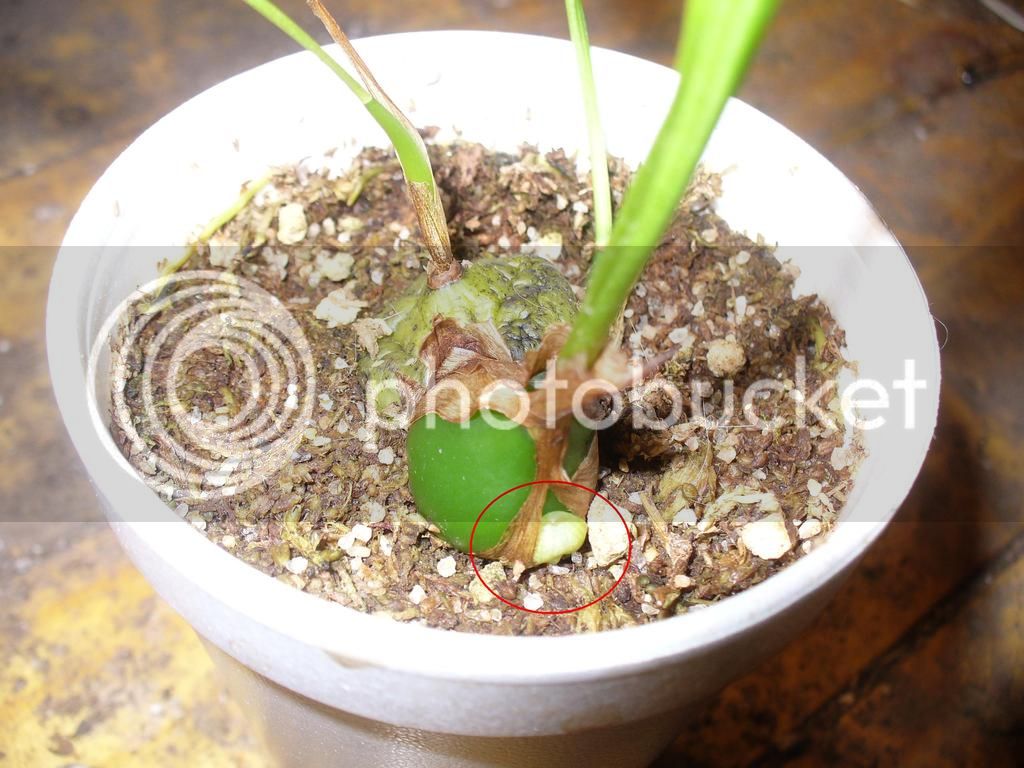 P10207422_zpsnwqlrhej.jpg