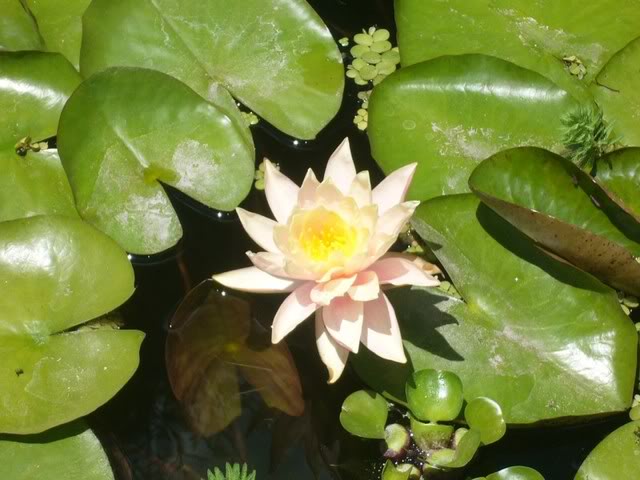 P1020795800x600.jpg