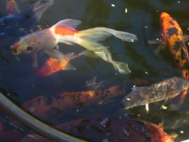 P1020846640x480.jpg