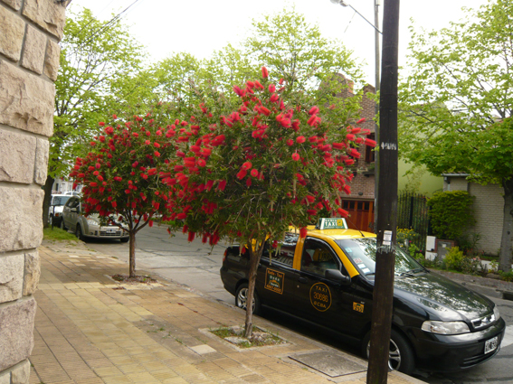 P1030014.jpg