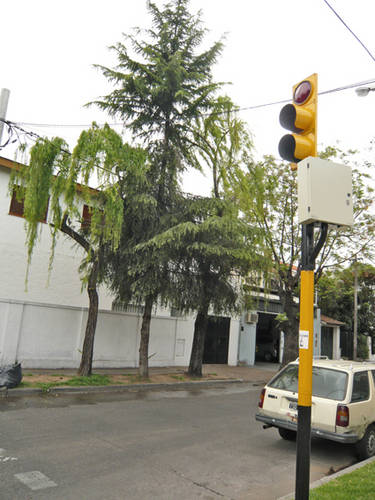 P1030021.jpg