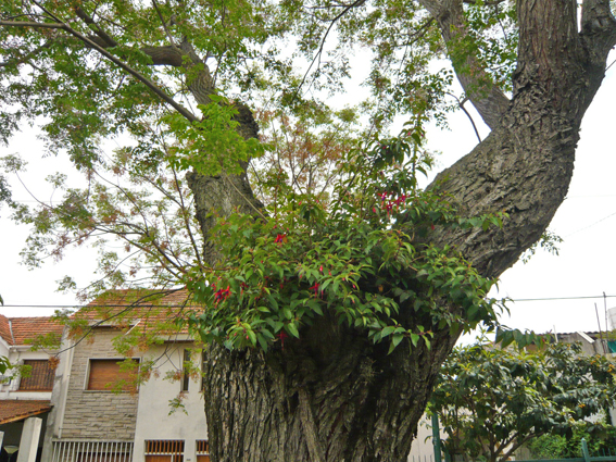 P1030024.jpg