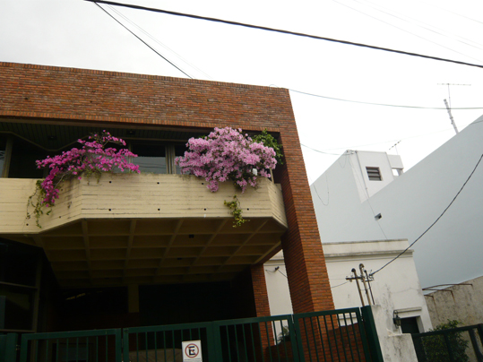 P1030033.jpg