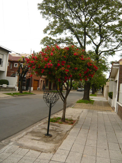 P10300431.jpg