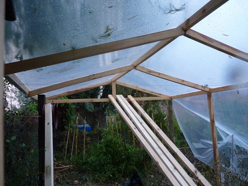 P1030178.JPG
