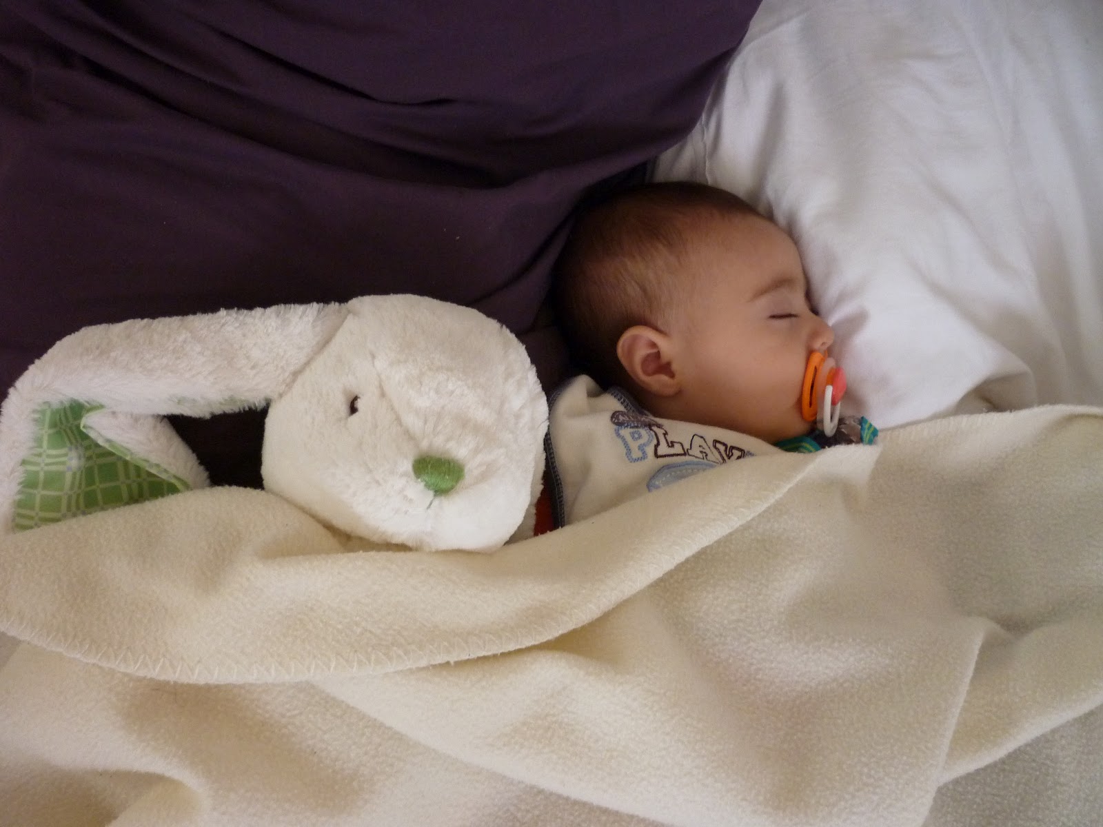 P1030192.JPG