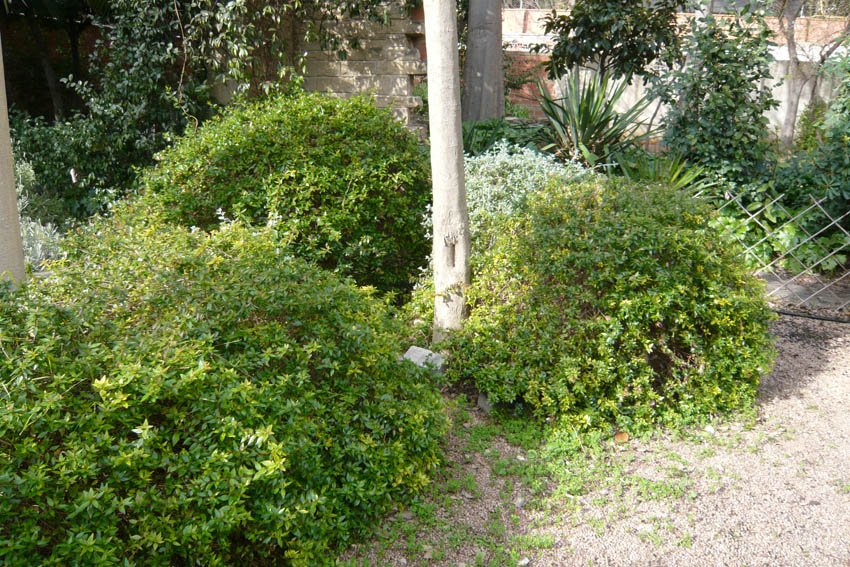 P1030211bajaares.jpg