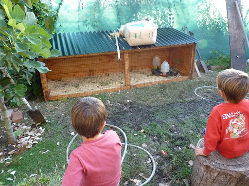 P1030251.JPG