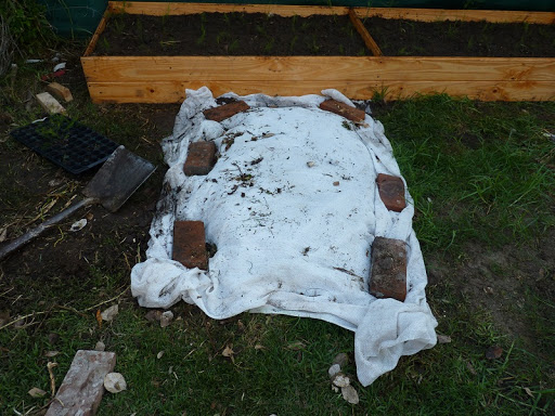 P1030261.JPG