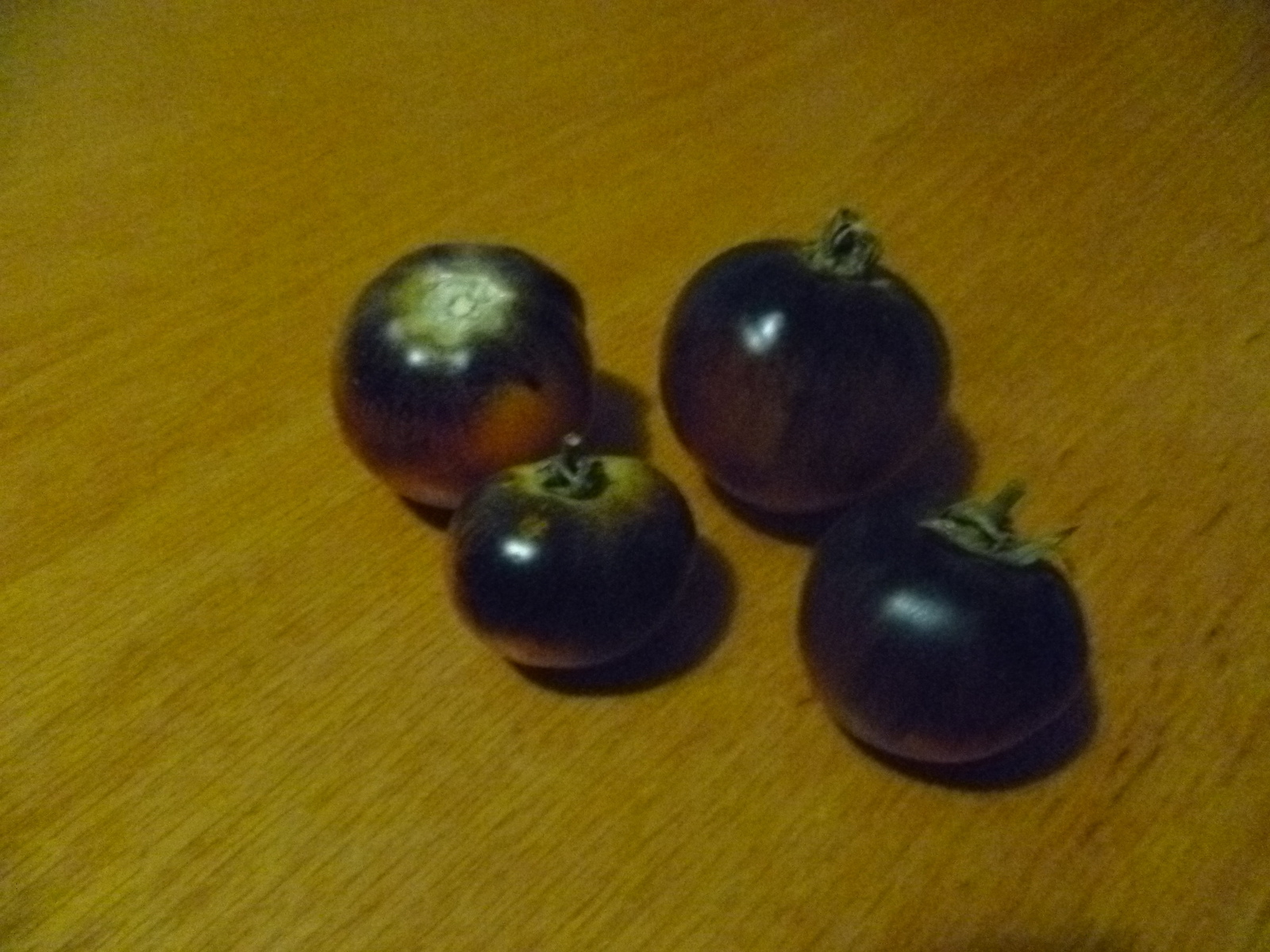 p1030328.jpg