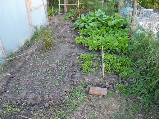 P1030342.JPG