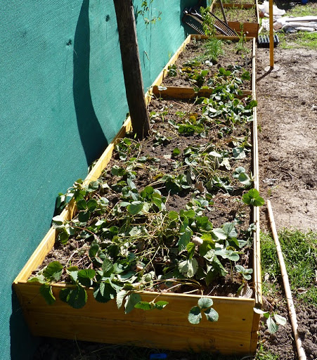 P1030365.JPG