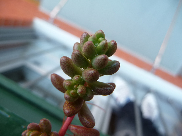 P1030371.JPG
