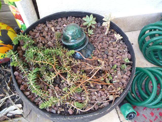 P1030429.JPG