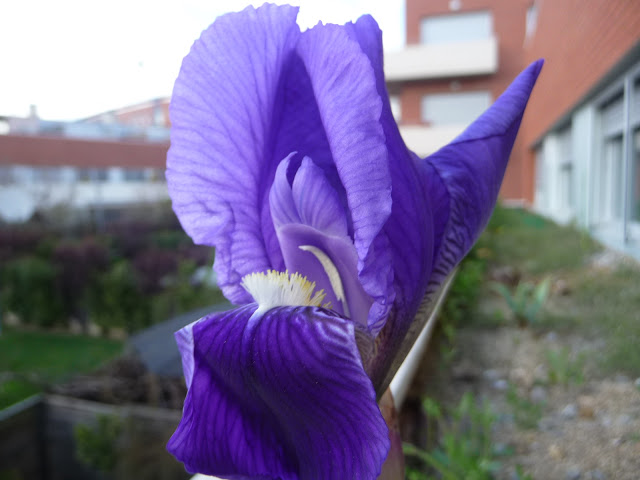 P1030437.JPG
